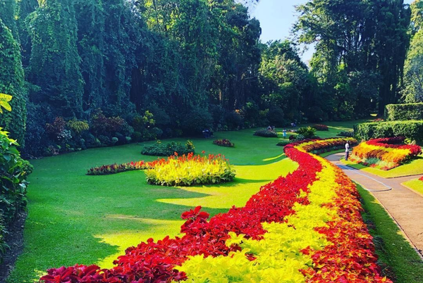 Peradeniya Gardens