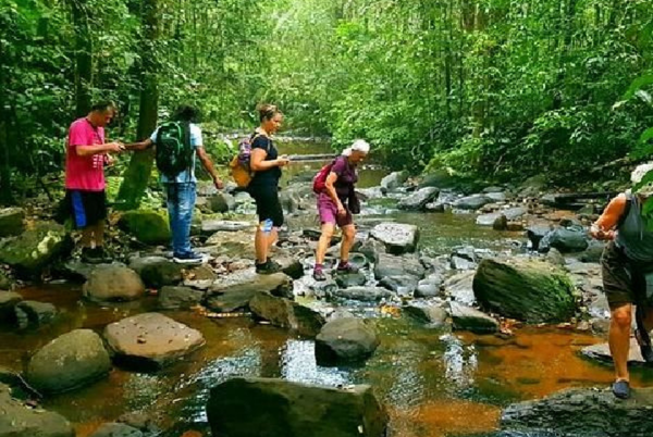 Sinharaja Forest Reserve