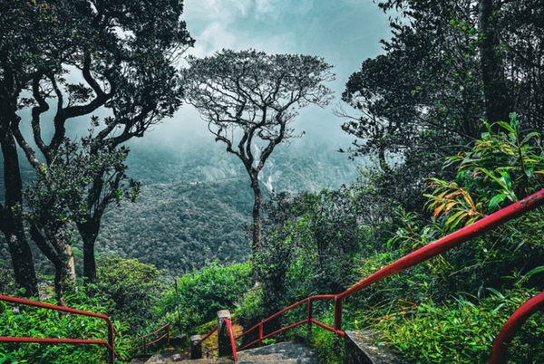 Adam's Peak